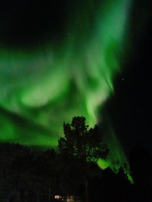 Koselig Og Moderne Leilighet, Meget Sentralt I Narvik Med Gratis Parkering! Esterno foto