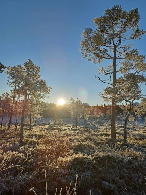 Koselig Og Moderne Leilighet, Meget Sentralt I Narvik Med Gratis Parkering! Esterno foto