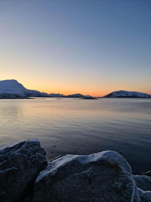 Koselig Og Moderne Leilighet, Meget Sentralt I Narvik Med Gratis Parkering! Esterno foto
