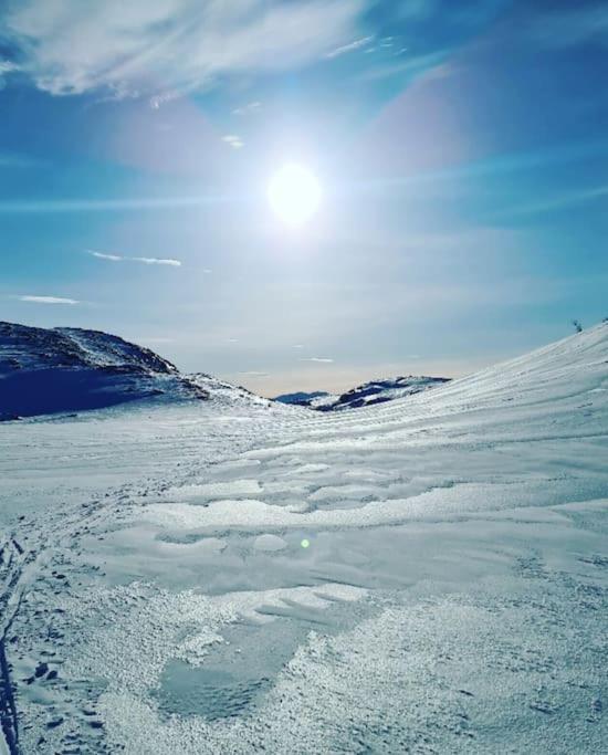 Koselig Og Moderne Leilighet, Meget Sentralt I Narvik Med Gratis Parkering! Esterno foto