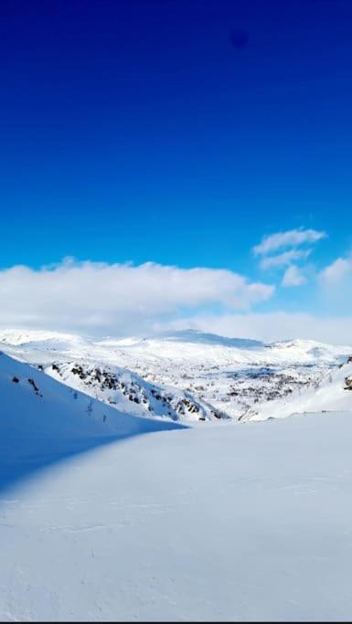 Koselig Og Moderne Leilighet, Meget Sentralt I Narvik Med Gratis Parkering! Esterno foto