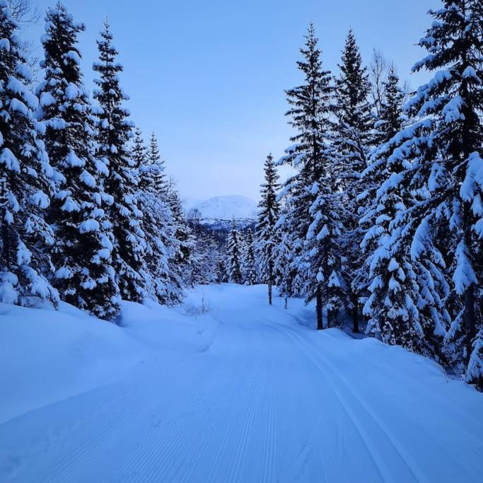 Koselig Og Moderne Leilighet, Meget Sentralt I Narvik Med Gratis Parkering! Esterno foto